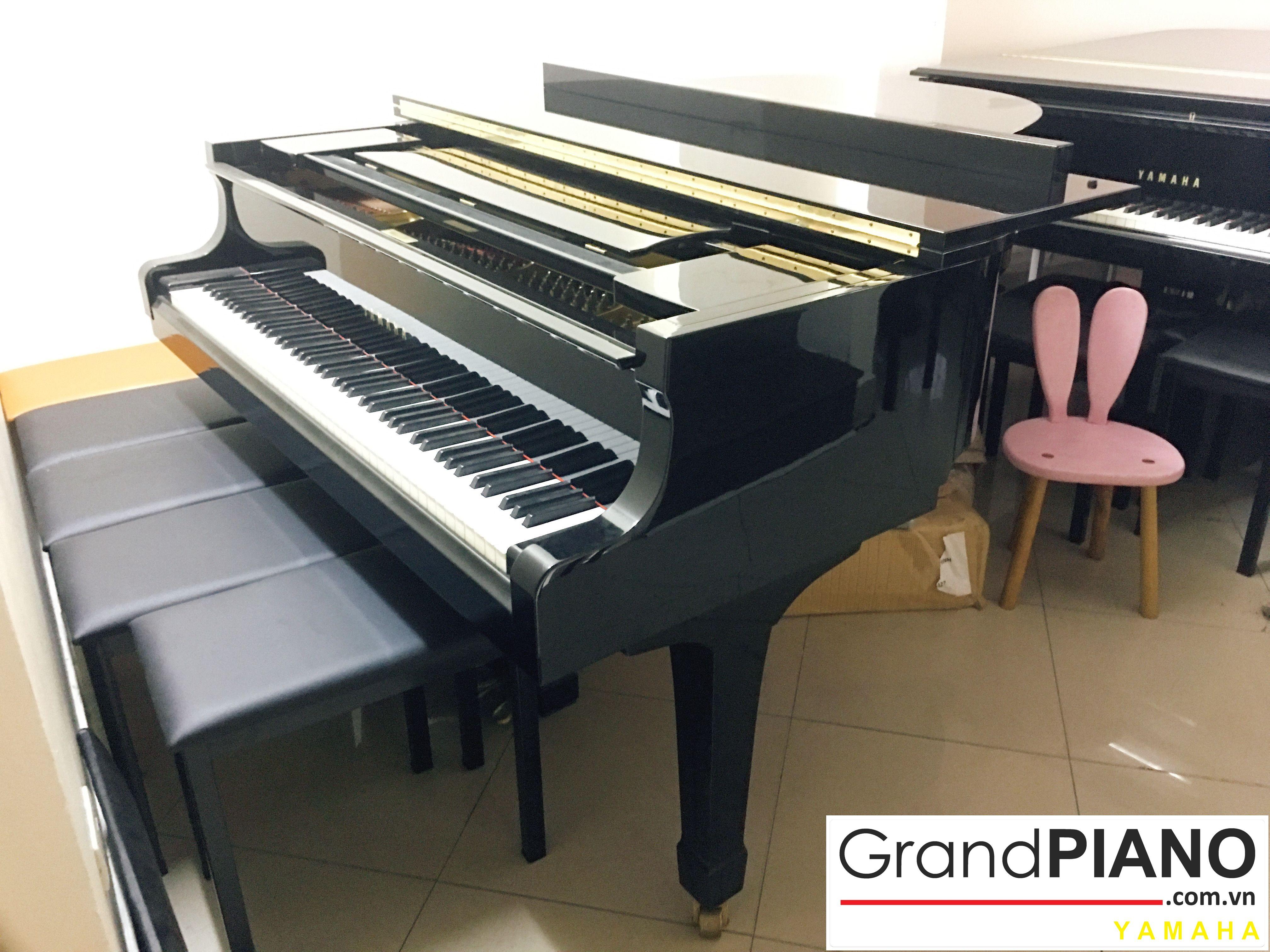 YAMAHA G3E SERI: 5211484 ✅ 